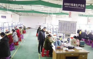 返鄉(xiāng)建起 脫貧工廠 把電子產(chǎn)品賣到國(guó)外